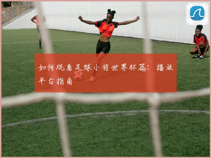 如何观看足球小将世界杯篇：播放平台指南