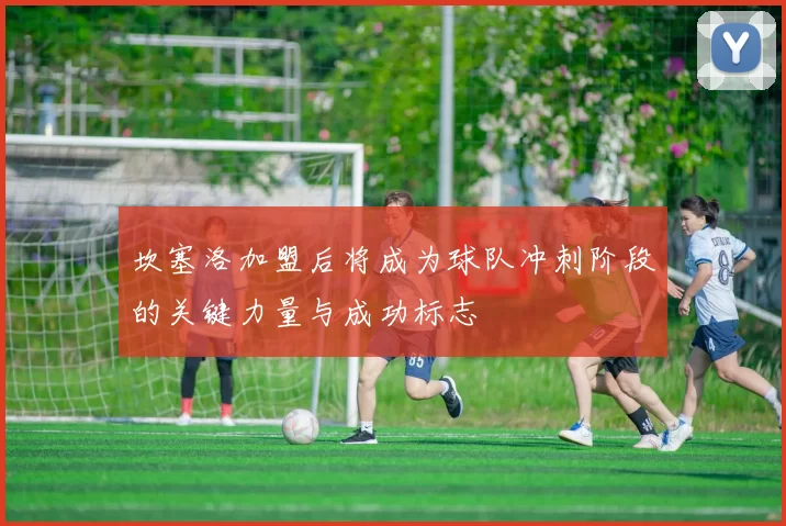 坎塞洛加盟后将成为球队冲刺阶段的关键力量与成功标志