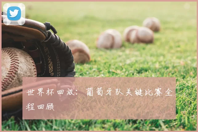 世界杯回放:葡萄牙队关键比赛全程回顾