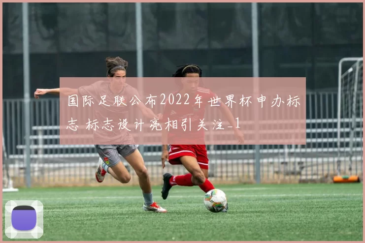 国际足联公布2022年世界杯申办标志 标志设计亮相引关注_1
