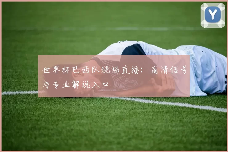 世界杯巴西队现场直播:高清信号与专业解说入口