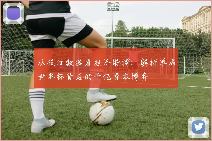 从投注数据看经济脉搏：解析单届世界杯背后的千亿资本博弈