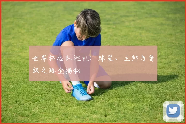 世界杯各队巡礼：球星、主帅与晋级之路全揭秘