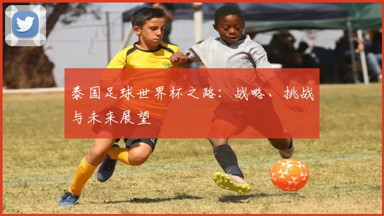 泰国足球世界杯之路：战略、挑战与未来展望