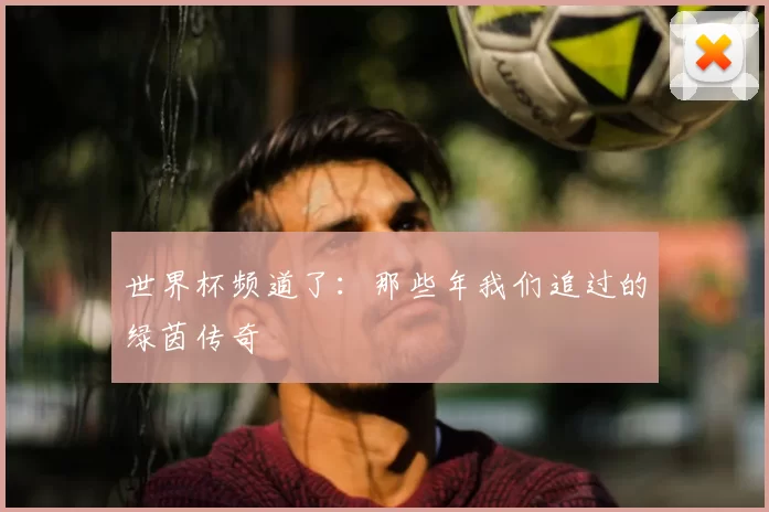 世界杯频道了：那些年我们追过的绿茵传奇