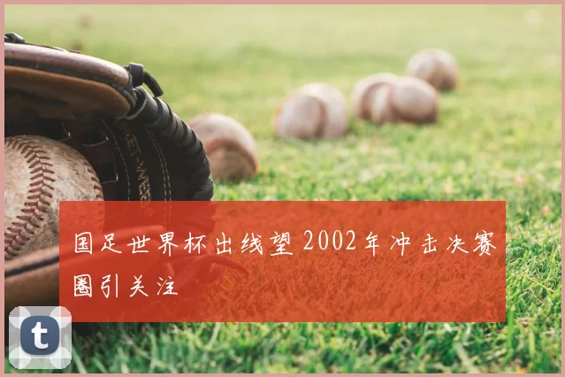 国足世界杯出线望 2002年冲击决赛圈引关注