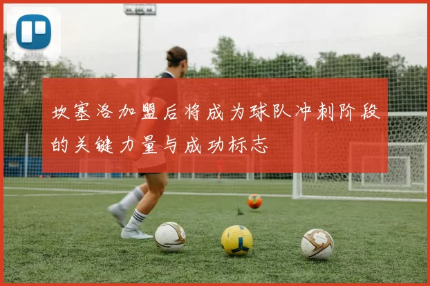 坎塞洛加盟后将成为球队冲刺阶段的关键力量与成功标志