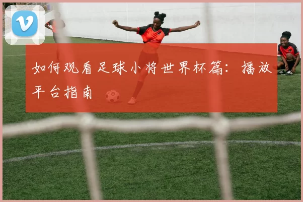 如何观看足球小将世界杯篇：播放平台指南