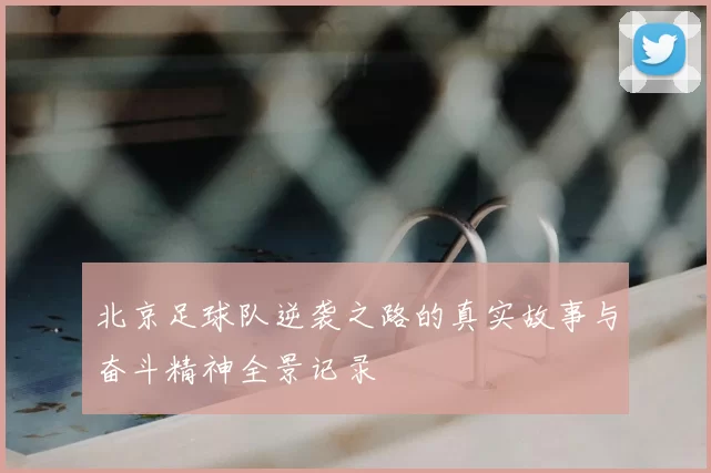 北京足球队逆袭之路的真实故事与奋斗精神全景记录