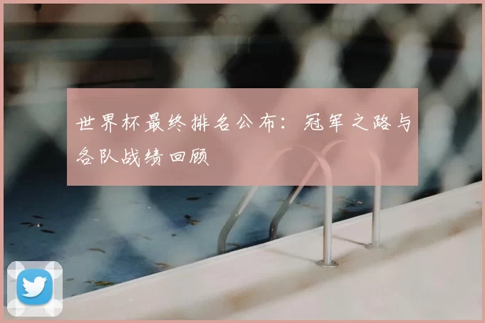 世界杯最终排名公布：冠军之路与各队战绩回顾