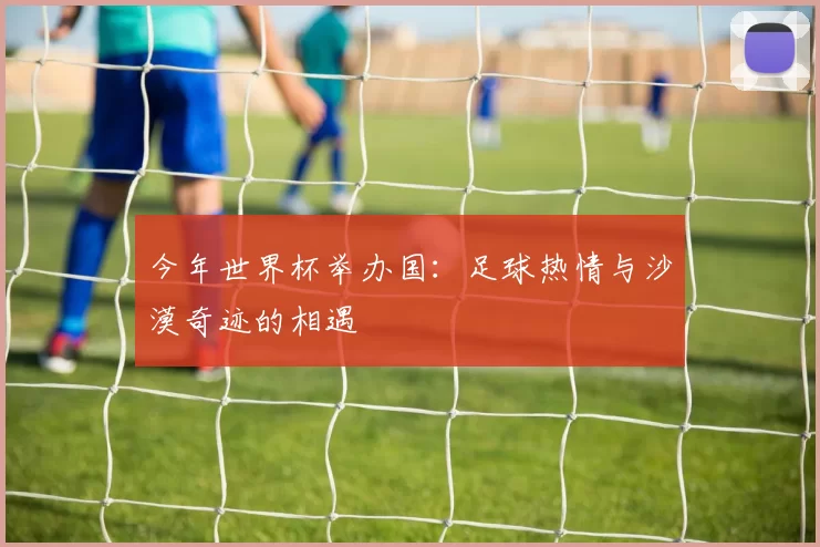今年世界杯举办国：足球热情与沙漠奇迹的相遇