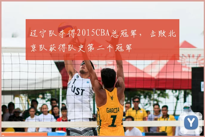辽宁队夺得2015CBA总冠军，击败北京队获得队史第二个冠军
