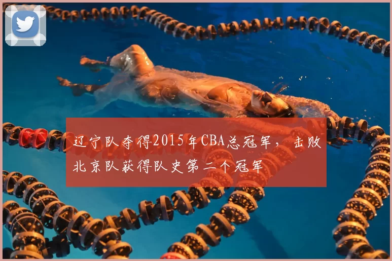 辽宁队夺得2015年CBA总冠军，击败北京队获得队史第二个冠军